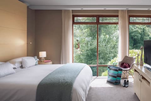 Vineyard Hotel, Room