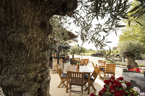 Carathotel Basel/Weil am Rhein, Restaurant