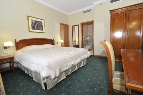 Holiday Inn Skopje by IHG, Room