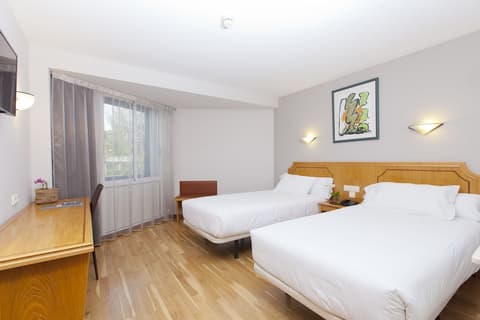 Spirit Hotel Ciudad de Burgos, Room