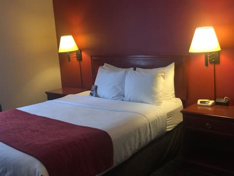 Comfort Inn & Suites University, Room
