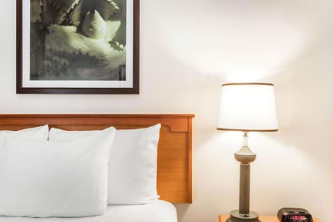 La Quinta Inn & Suites by Wyndham Orlando South, Room