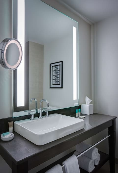 Hyatt Regency Cleveland At The Arcade, Bathroom