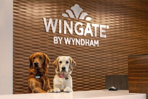 Wingate by Wyndham Lethbridge, Lobby