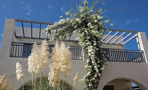 Rosebay Hotel, Property grounds