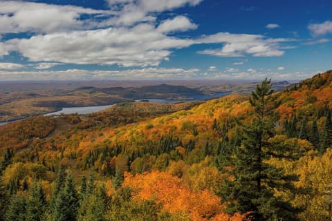Residence Inn by Marriott Mont Tremblant Manoir Labelle, Hiking