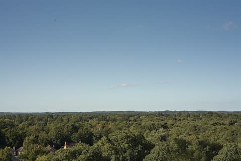 Doubletree by Hilton Hotel Woking, Room