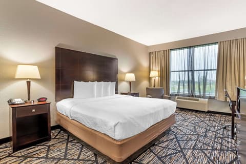 Best Western Plus Hobby Airport Inn & Suites, Room