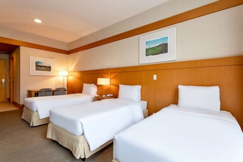 Wyndham Garden Sao Paulo Convention Nortel, Room