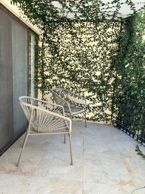 Guadalajara Plaza Ejecutivo, Terrace/patio