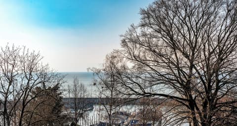 PLAZA Hotel Buchhorner Hof, View from room