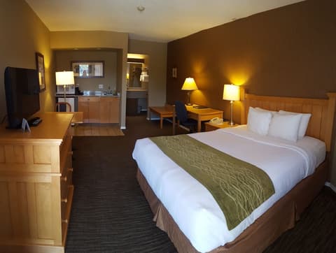 Econo Lodge Inn & Suites, Room
