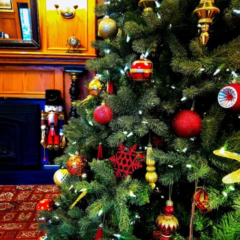 James Bay Inn Hotel & Suites, Lobby