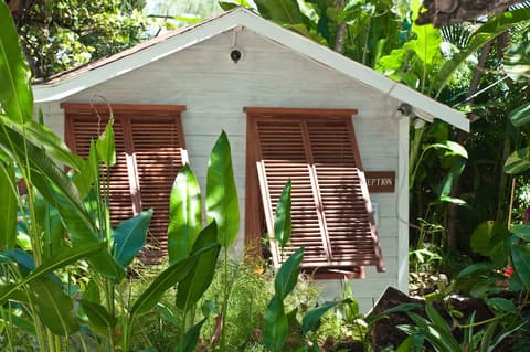 ECO Lifestyle & Lodge, Lobby