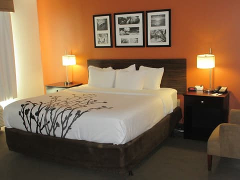 Sleep Inn & Suites Fort Lauderdale Airport, Room