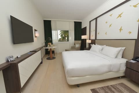 Hilton Nicosia, Room