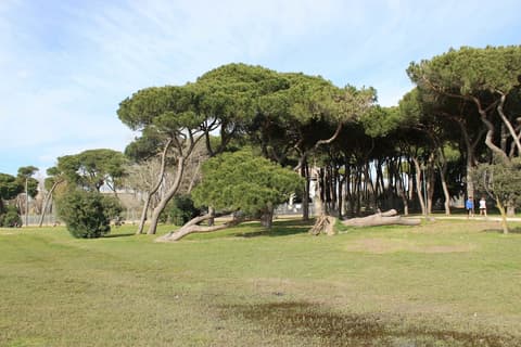 Hotel Riviera  Fiumicino, Point of interest