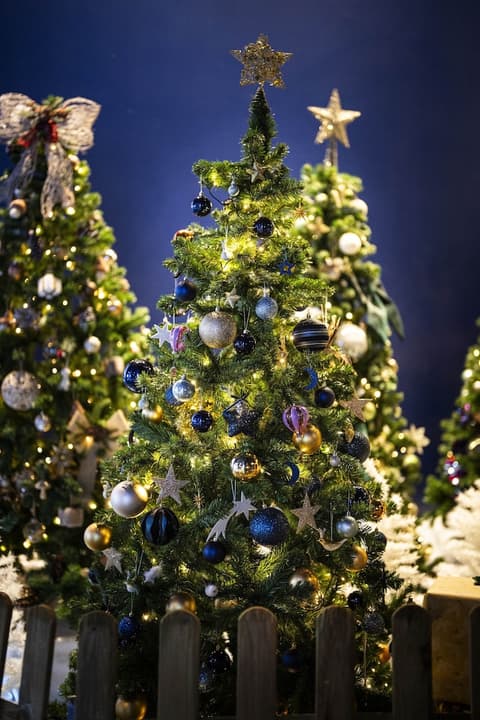 Grand Magic Hotel Marne La Vallée, Reception