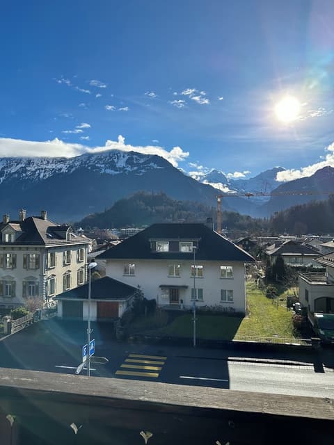 Hotel Chalet Swiss, Terrace/patio
