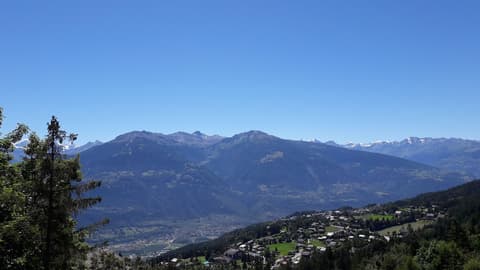 Hôtel Résidence de la Forêt, View from property