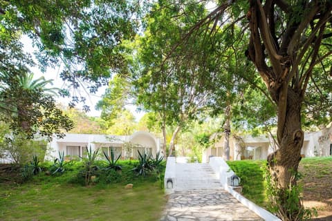 Hotel Bel Azur Thalasso & Bungalows, View from room