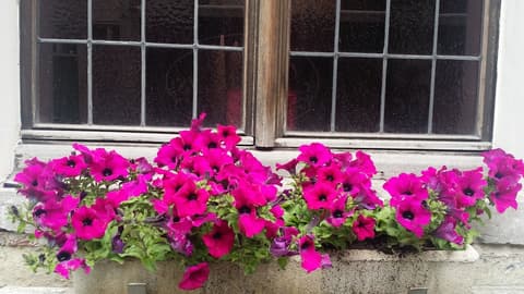 Cour St Georges, Front of property