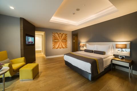 Radisson Blu Hotel, Kayseri, Room