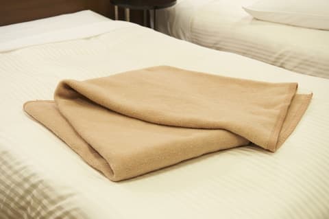 Sotetsu Fresa Inn Ochanomizu Jimbocho, Room