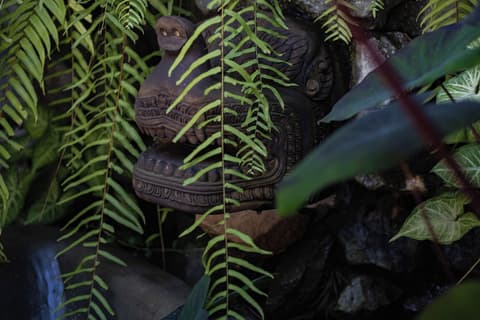 Lynnaya Urban River Resort, Room