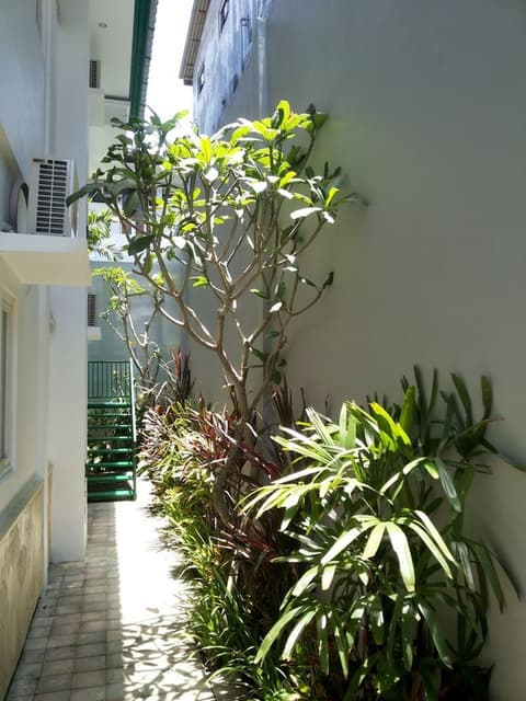 Ara Inn Bed and Breakfast by ecommerceloka, Exterior