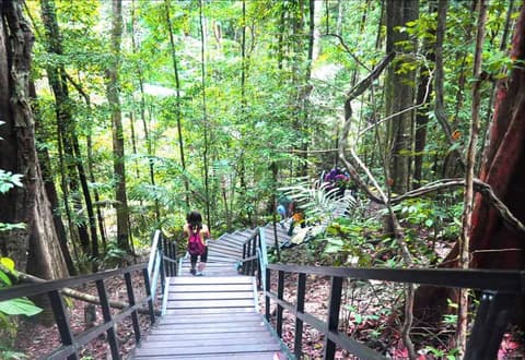 Xcape Resort at Taman Negara, Exterior