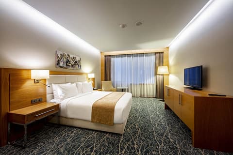 Holiday Inn Baku by IHG, Room