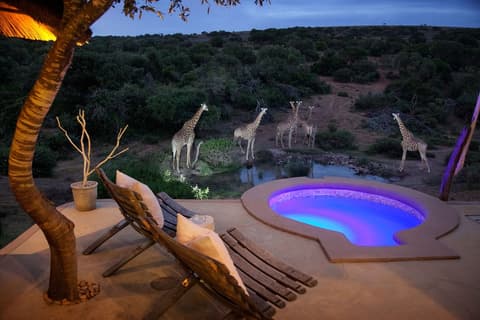 Safari Lodge - Amakhala Game Reserve, Terrace/patio