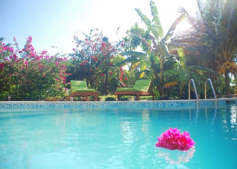 Margarita del Sol Costa Maya, Pool