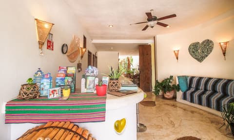 Corazon de Jade Tulum Downtown, Reception