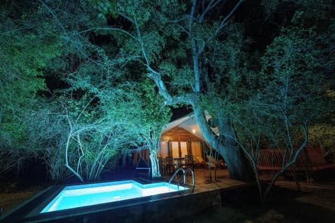 Leopard Reach Yala by Seven Angels, Room