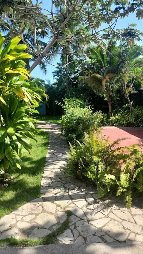 BOCA DEL PARAISO, Room