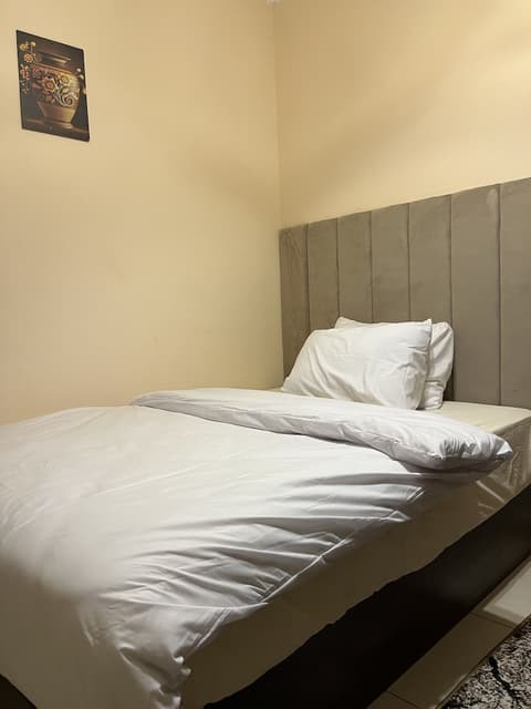 King Badr pyramids inn, Room