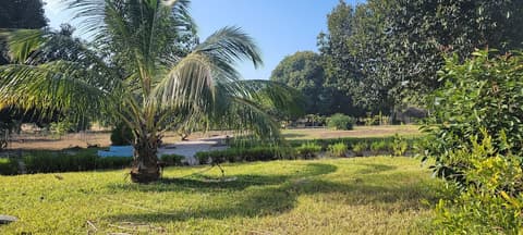 Mafia Fabu Lodge, Front of property