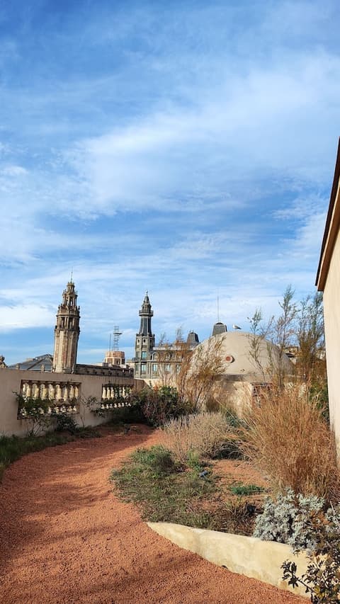 Porxos Garden, Garden