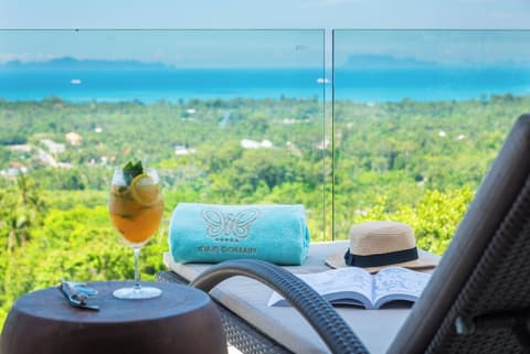 Ida B Domain, Living area