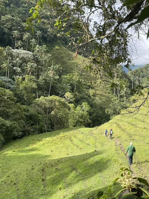 Sazagua Cocora Reserva Natural, 