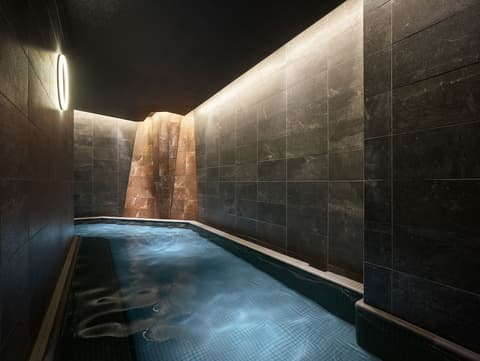 Mitsui Garden Hotel Ginza Tsukiji, Public bath