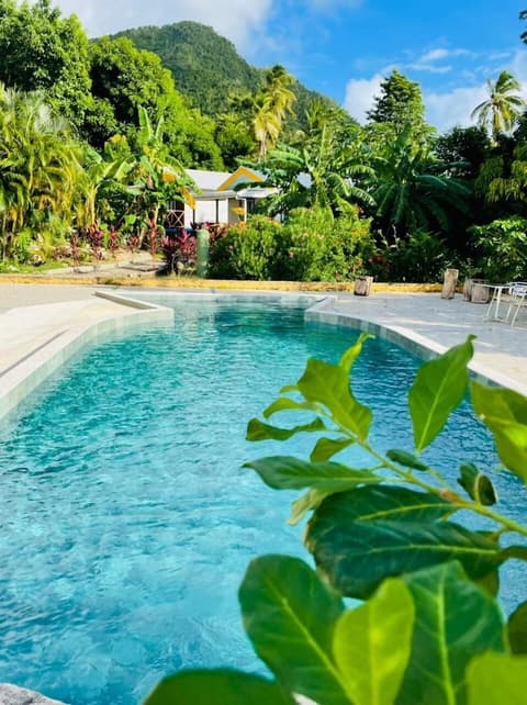 Hotel Cabañas Agua Dulce, Indoor/outdoor pool