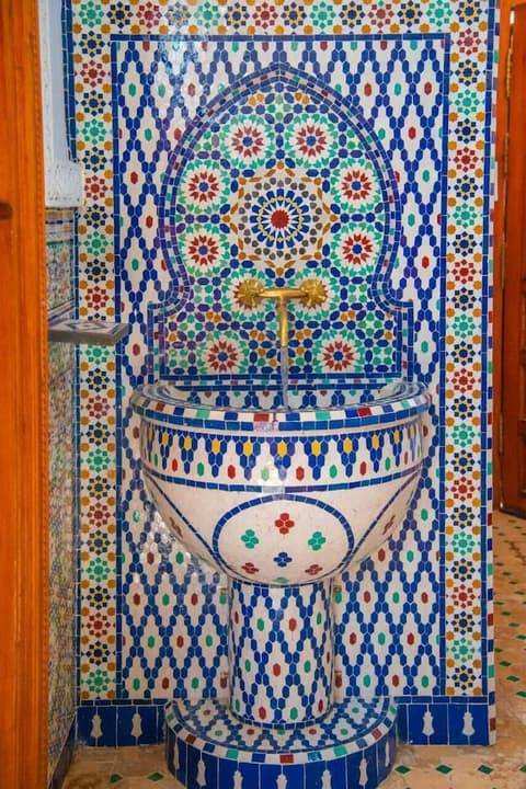 Riad Amely, Reception