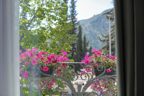 Hotel Plaza Berat, Room