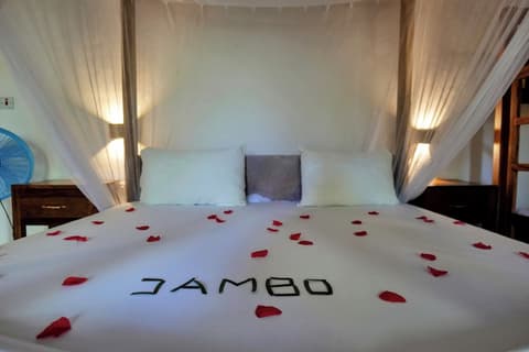 Lala Land Lodge, Room