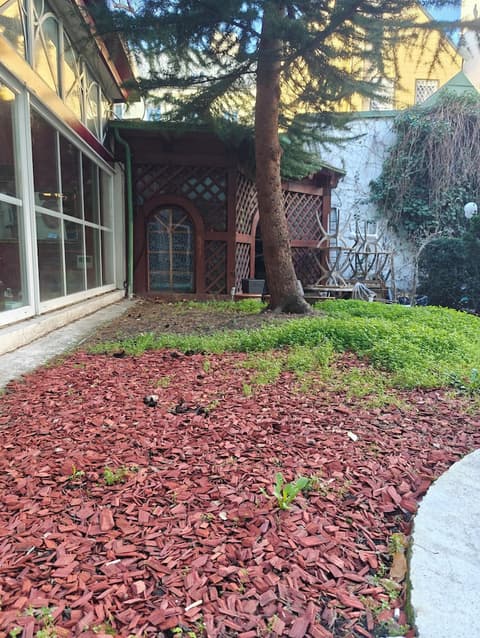 Hotel Viki, Terrace/patio