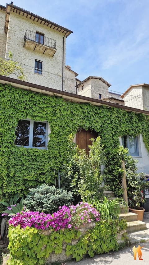 Borgo San Valentino, Reception