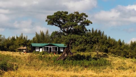 Anabas Mount Kenya Lodge, Room
